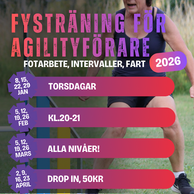 Fysträning för agilityföraren!